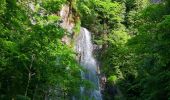 Trail Walking Oberhaslach - Le Nideck, entre ruines et cascades - Photo 4