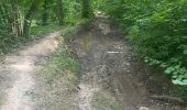 Trail Walking Bruyères-le-Châtel - R2 a Roche Turpin - Photo 1