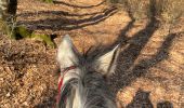Trail Horseback riding Habay - Marbehan côté Thibessart - Photo 7