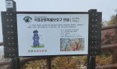 Trail Walking Unknown - Boucle du Peak Cheonwangbong  - Photo 17