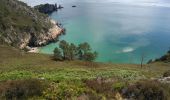 Tour Wandern Crozon - Morgat - Pointe de la Chèvre - Photo 19