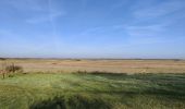 Percorso Marcia Grand-Fort-Philippe - Sentier Grand Fort Philippe  - Photo 15