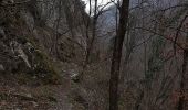 Percorso A piedi Băile Herculane - Băile Herculane (DN67D) în dreptul Hidrocentralei - Creasta Munților Mehedinți - Photo 6
