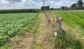 Trail Walking Diksmuide - Blanquaart 19 km - Photo 6