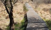 Trail Walking Rosis - douch - saint gervais - Photo 20
