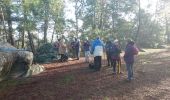 Trail Walking Fontainebleau - rocher d'Avon 13 janvier 2023  - Photo 7