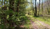 Trail Walking Gigouzac - Gigouzac_Escalmels_Mas de Bertrand_Combe d'Escalmels 5,5 - Photo 3