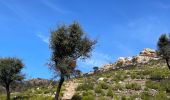 Randonnée Marche Roses - Plat des gâtte depuis le dolmen (aller simple) - Photo 7