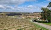 Trail Walking Crugny - Crugny du 30/03/2025 - Photo 11