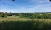 Tour Wandern Momignies - Seloignes 110621 - Photo 2