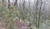 Trail Walking Le Cours - PR_56_Le-Cours_AA_01_Circuit1b_De-La-Chapelle-De-Priziac_20240406 - Photo 2