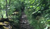 Trail Walking Coubon - Stevenson 1+2 - Photo 6