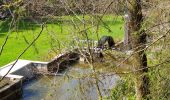 Excursión Senderismo Gedinne - Balade de Vencimont à Sart-Custine - Photo 10