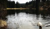 Tocht Te voet Clausthal-Zellerfeld - HK 4: Neckelnberg, Seesen - Bad Grund - Wildemann - Langelsheim - Photo 6