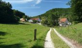 Tour Zu Fuß Hirschbach - Bruckberger Weg - Photo 6