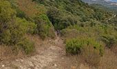 Tocht Stappen Argelès-sur-Mer - massane - Photo 13