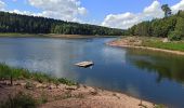 Trail Mountain bike Celles-sur-Plaine - Tour lac Pierre Percée 2020 - Photo 1