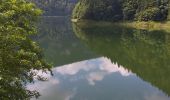 Excursión Senderismo Villers-le-Lac - barrage chatelot saut du doubs le pissoux - Photo 17