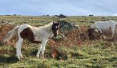 Randonnée Marche Macaye - Mont Baigura  - Photo 8