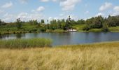 Trail Walking Beulotte-Saint-Laurent - Beulotte St Laurent - le plateau des Mille Etangs - Photo 9