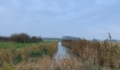 Tour Zu Fuß Blankenfelde-Mahlow - Rundwanderweg Schwanensee - Photo 8