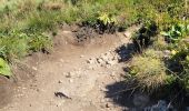 Trail Walking Laveissière - lioran rocher du bec de l'aigle  téton de venus - Photo 1