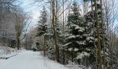 Trail Walking Barr - en partant du carrefour de la Bloss - Photo 1