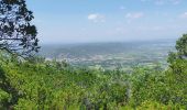 Excursión Senderismo Gonfaron - Notre dame des anges par notre dame du figuier - Photo 3