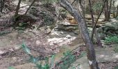 Trail Walking Plan-d'Aups-Sainte-Baume - Boucle St Baume Huveaune  - Photo 4