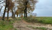 Randonnée Marche Holsbeek - Holsbeek 15 km - Photo 8