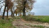 Tour Wandern Holsbeek - Holsbeek 15 km - Photo 8