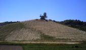 Randonnée A pied Monteu Roero - Sentiero dei Fossili - Photo 3