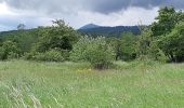 Randonnée Marche Blanzat - PLATEAU DE LA BADE - Photo 1