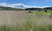 Trail Walking Courthézon - Le Lac Salé  - Photo 4