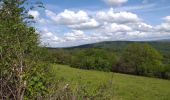 Trail Walking Boussières - Boussières crête  - Photo 5