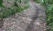 Trail Walking Quistinic - PR_56_Quistinic_BB_03_Circuit1b_Des-Chapelles-Sud_20240531 - Photo 7