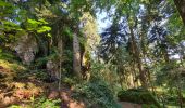 Trail Walking Le Syndicat - depuis Nol balcon de Solem - Photo 5