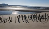 Randonnée Marche Berck - Berck - baie d'Authie - Photo 4