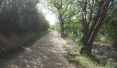 Trail Walking Cabestany - cabestany - Photo 1