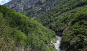 Trail Walking La Palud-sur-Verdon - Sentier Blanc Martel - Photo 5