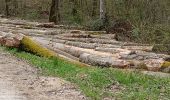 Tocht Stappen Vauchassis - Balade Forêt communale de Vauchassis - Photo 2