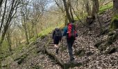 Tocht Noords wandelen Vianden - Gr5 E2 de  Vianden à Dasbourg Pont - Photo 16