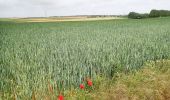 Tour Zu Fuß Genappe - #200523 - Loncée, Vallée de la Haute Dyle et Houtain*** - Photo 15