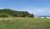 Randonnée Marche Le Lorrain - La Crabiere Vive - Savane La Pointe - Photo 12