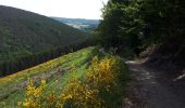 Tocht Stappen Trois-Ponts - Trois-Ponts - Photo 4