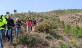 Trail Walking Fréjus - Malpey par la piste des Malavettes depuis Colle Douce - Photo 4