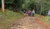 Trail Walking Vassieux-en-Vercors - Vassieux - Photo 1