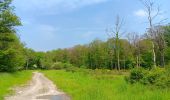 Trail Walking Durbuy - Petit-Han ... l Trail Walking Durbuy - Petit-Han ... l