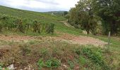 Tour Mountainbike Meursault - Meursault Auxey-Duresse  - Photo 8