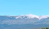 Tour Wandern Villes-sur-Auzon - entre Auzon et le GR du massif du Ventoux - Photo 7